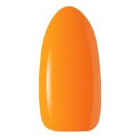 Fluo 3