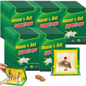 Pułapka Łapka Lep Lepka Na Myszy Szczury Gryzonie Myszołapka Na Klej x 50